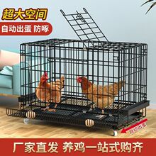 鸡笼子家用大号养殖笼鸡舍鸡笼鸭笼鹅笼折叠自动出蛋鸡笼户外鸡笼