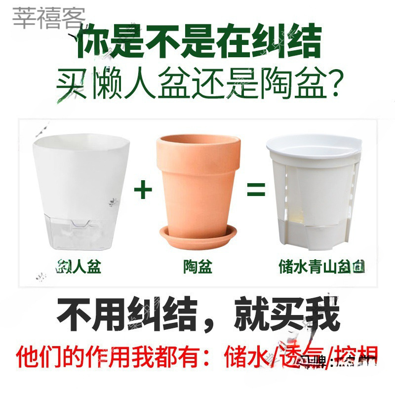 新商品の貯水透明青山盆は吸水しています。|undefined