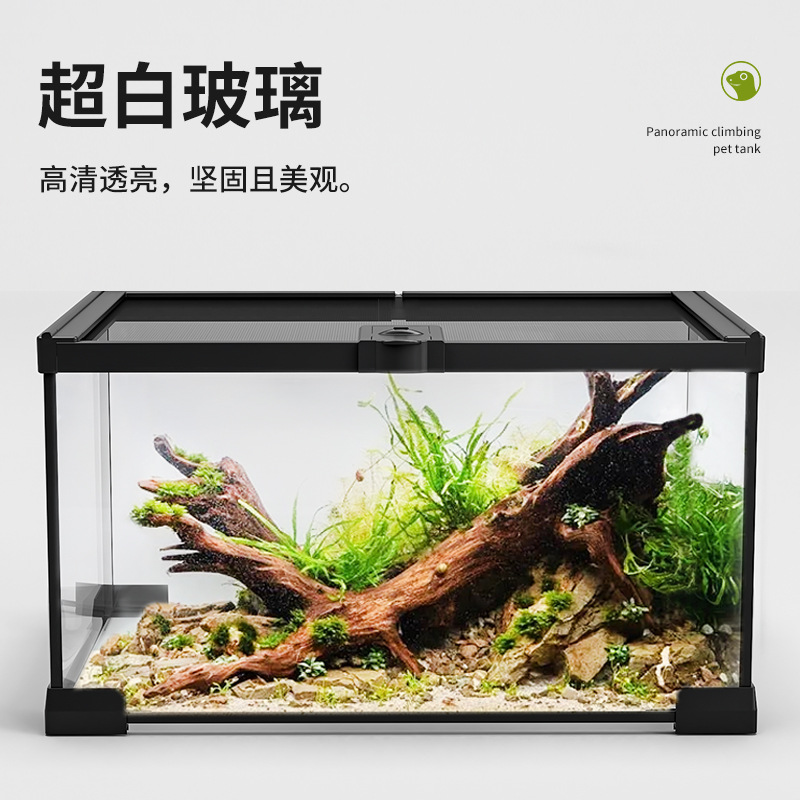 Cilindro de vidrio para reptiles, tanque de selva tropical, tanque de escalada, tanque de alimentación de mascotas, guardián, lagarto, cuerno de serpiente, rana, araña, paisajismo