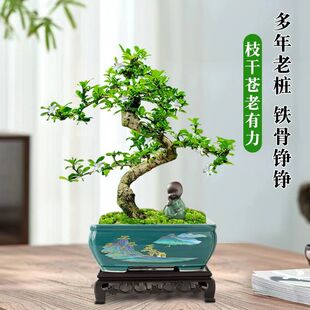 �Ϙ��������������������辰�҃��k���ҿ͏d�����[���_��������B