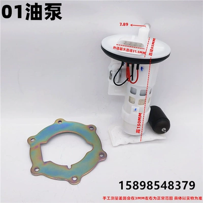 Suitable for Honda, Haojue, Suzuki, Yamaha, Lifan, Zongshen, Qianjiang electric-injection scooter gasoline pump fuel pump (Fuel tank) - 01-oil-pump
