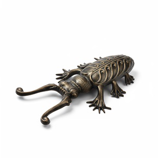 �羳�T�F��ˇƷ���xÓЬ���ڒ߽����fЬ��ţ��ѥÓЬ�����u���l