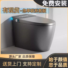 唯诗礼枪灰色彩色智能马桶全自动一体式家用无水压限可墙排坐便器