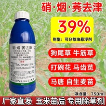 硝烟莠去津玉米专用牛筋草马齿苋狗尾草植物农用农药除草剂