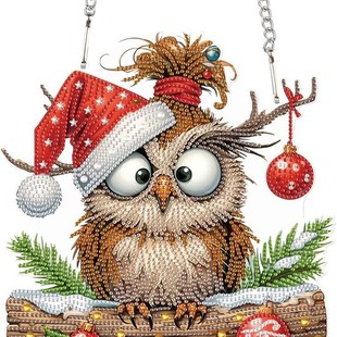 Cross-mirror new diamond painting acrylic material single-sided crystal diamond door owl style factory outlet