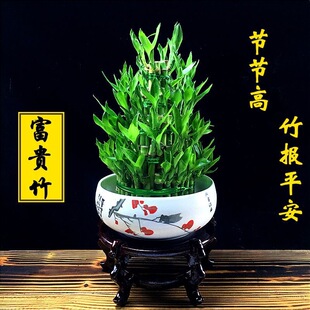 ���F������ֲ��ˮ�B�͏d����k���ҾGֲ�҃ȃ����՚�����ȩ