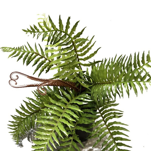 Simulated green plants ferns landscape Persian rich ferns green…