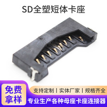 sdȫܶ忨  ӵؽ pin 洢 ֱ