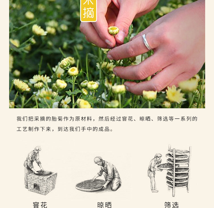 Dried Chrysanthemum Bud Tea Tai Ju Floral Herbal Tea Loose Flower Tea 40g Can preparation