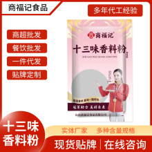 十三味香料粉调味料500克商超批发大容量餐饮店商用十三香调味料