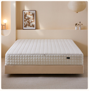 Wz Imported Natural Jute Mattress Independent Mini Sensor Small Spring Five-Star Hotel Simmons 25cm