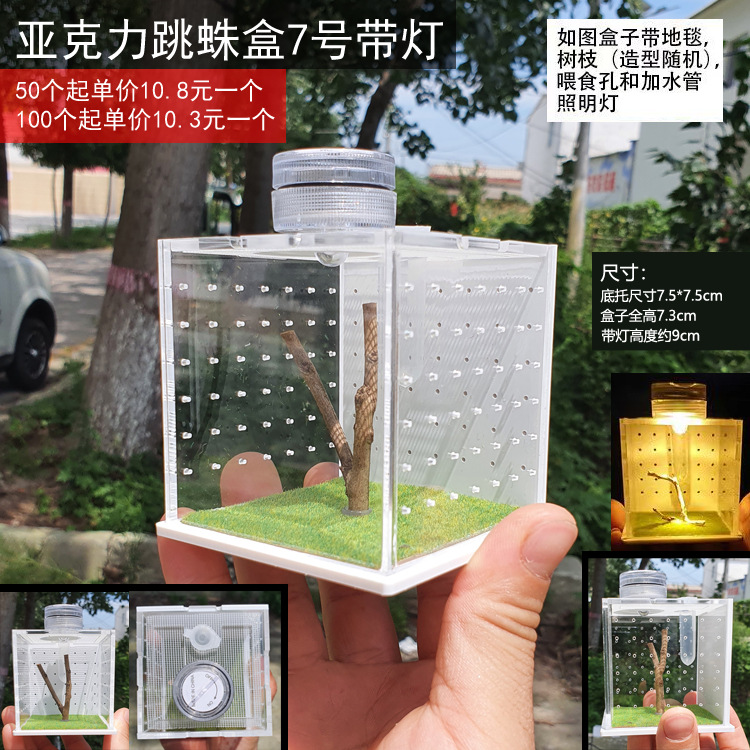 Jumping spider feeding box small non-fishing box Florida jumping spider insect with humidifier feeding mouth