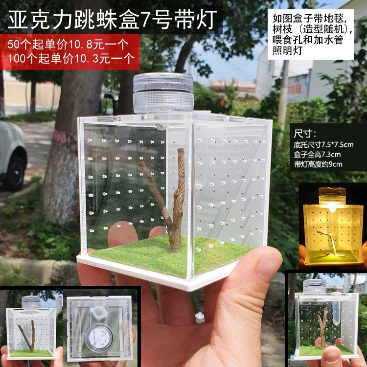 Прыжки паук кормления коробка небольшой Non-Рыбалка Коробка Флорида прыгает паук насекомое с увлажнителем кормления рот