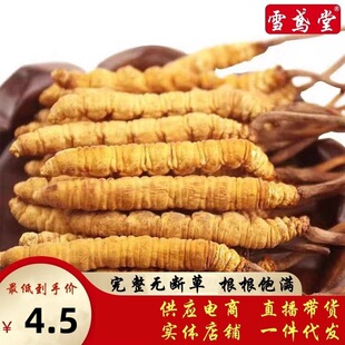 ���l�x���Ĵ������˹��������x�Ĳݷǁ�����x���ݾ����aƷ���x��