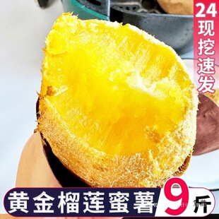 ��ɏ������ɯ��t�����r5�������عϳ�����ɯ�t������Ĭ�J�