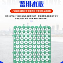定制HDPE蓄排水板车库地下室顶板双面镂空滤水性好凹凸HDPE排水板