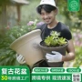 环球加厚大口径盆栽花盆