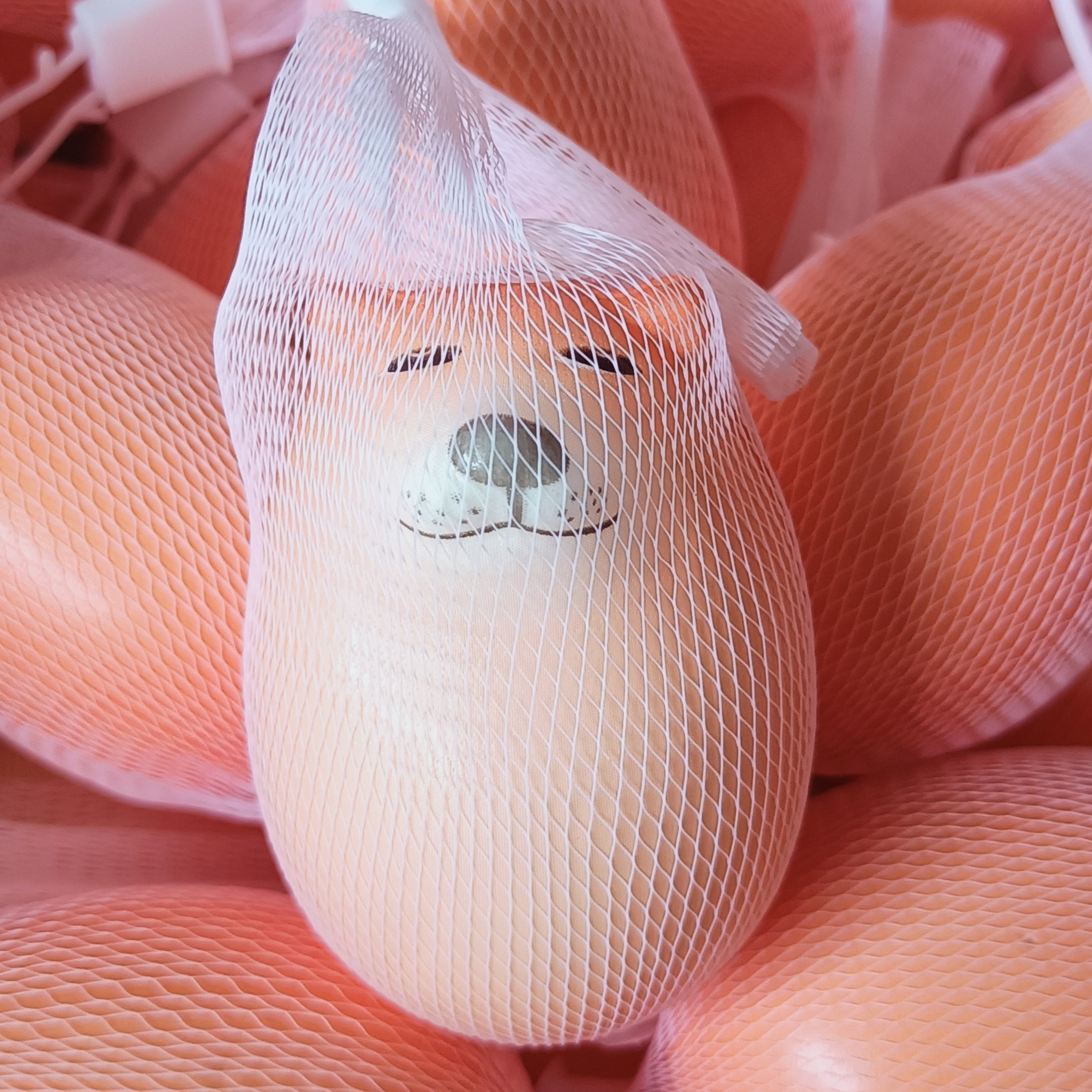 강아지알 7cm-[메쉬백]