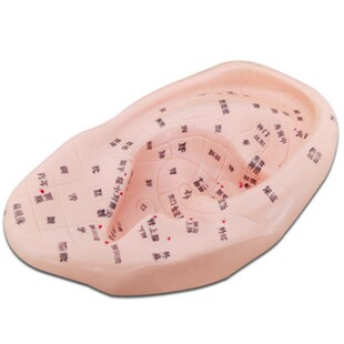 ���悥�~����Ѩλģ��1��1С��13cm��ģ30cm40cm���w���jģ��