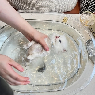 Baby bath tub large newborn baby can sit and lie thick kitten dog pet tub milk cat transparent thick