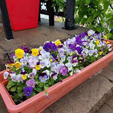 �����l؛�������Դ���ɫ�������ͺ��̨ͥԺ���ܻ������B���