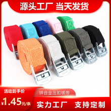 锌合金压扣绑带行李箱货物捆绑带物流托盘卡板调节拉紧魔术贴绑带