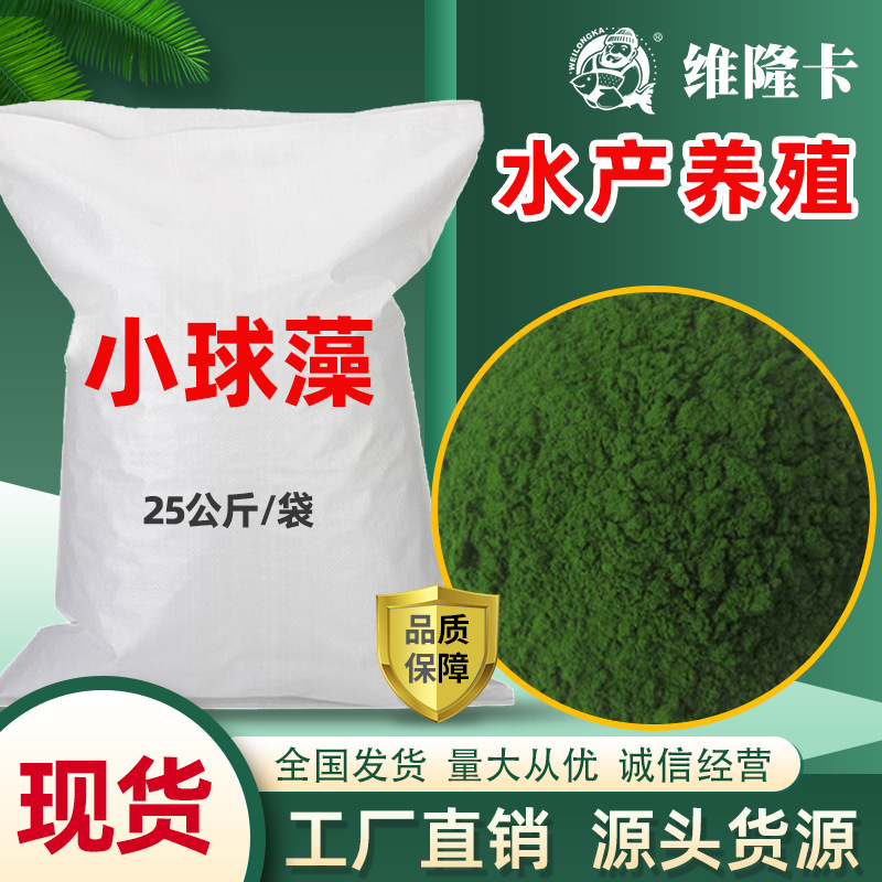 供应水产养殖用小球藻藻种菌种复合藻源螺旋藻粉硅藻绿藻粉高活性