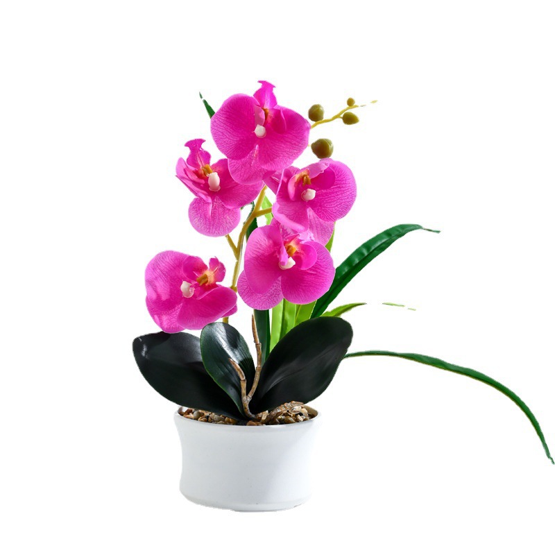 flores falsas cinco mariposa orquídea pequeña fábrica de flores de simulación bonsai directamente para decoración del hogar una plantación de imitación en maceta image 6