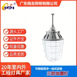 其他室内灯具;投光灯;景观灯