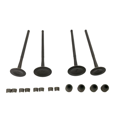 Valves and components Valve Kit Suitable