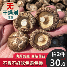 香菇干货净重无干燥剂托盘大小可选散装新鲜特产干小冬菇香茹蘑菇