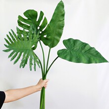 ����ֲ�������걳Ҷ�����޴���Ҷ�廨����ֲ����ķ���Ҷ��װ��