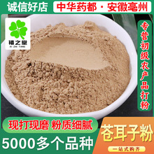 �n����ɢ�b��؛�����M�Fĥ����؛�n���ӷ�ţʭ�ӷ����󃞻�