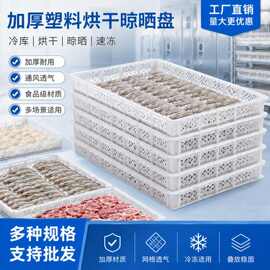 加厚塑料单冻器 食品晾晒烘干盘 冷库冻筐镂空塑胶冷冻托盘可堆叠