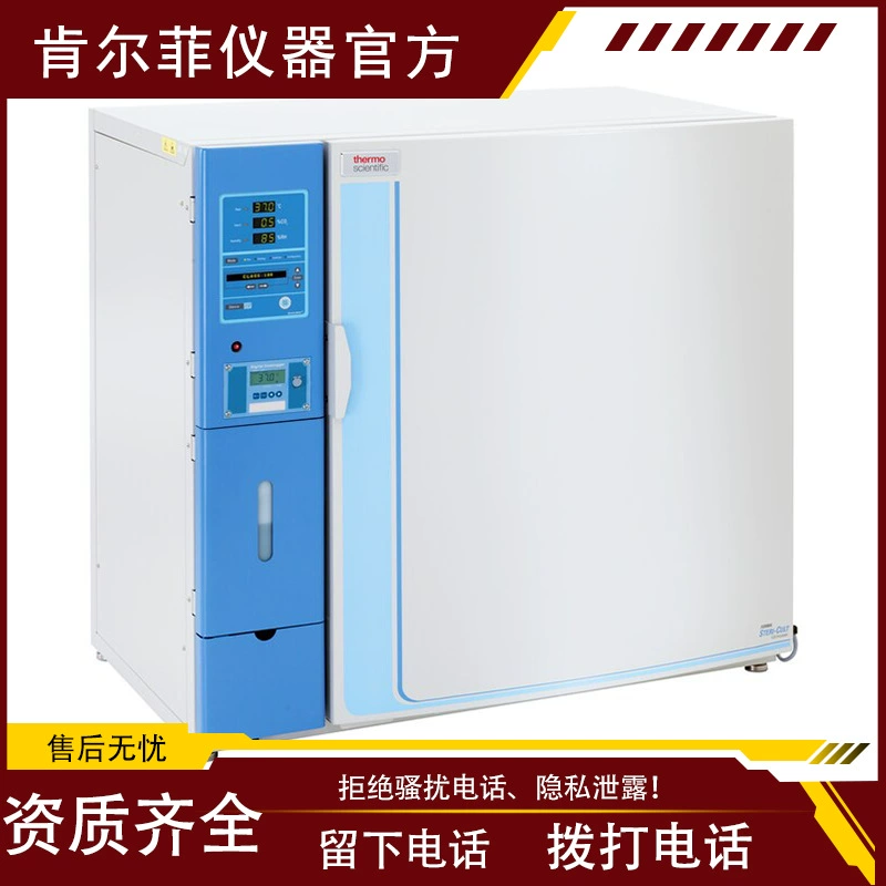 Thermo Semo Fly Forma Steri-cult CO2 инкубатор 3311