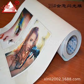 丽宝透明金葱闪光闪点膜 影像级相册装饰画膜PVC冷裱卷筒保护膜