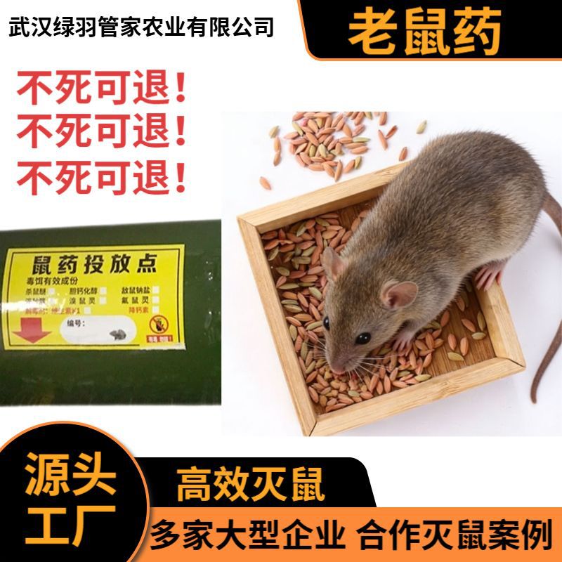 Mouse Bait Grain Safe Rodent Control Tool Rat Poison Special Effect Rat Attractant Precise Rodent Prevention Factory