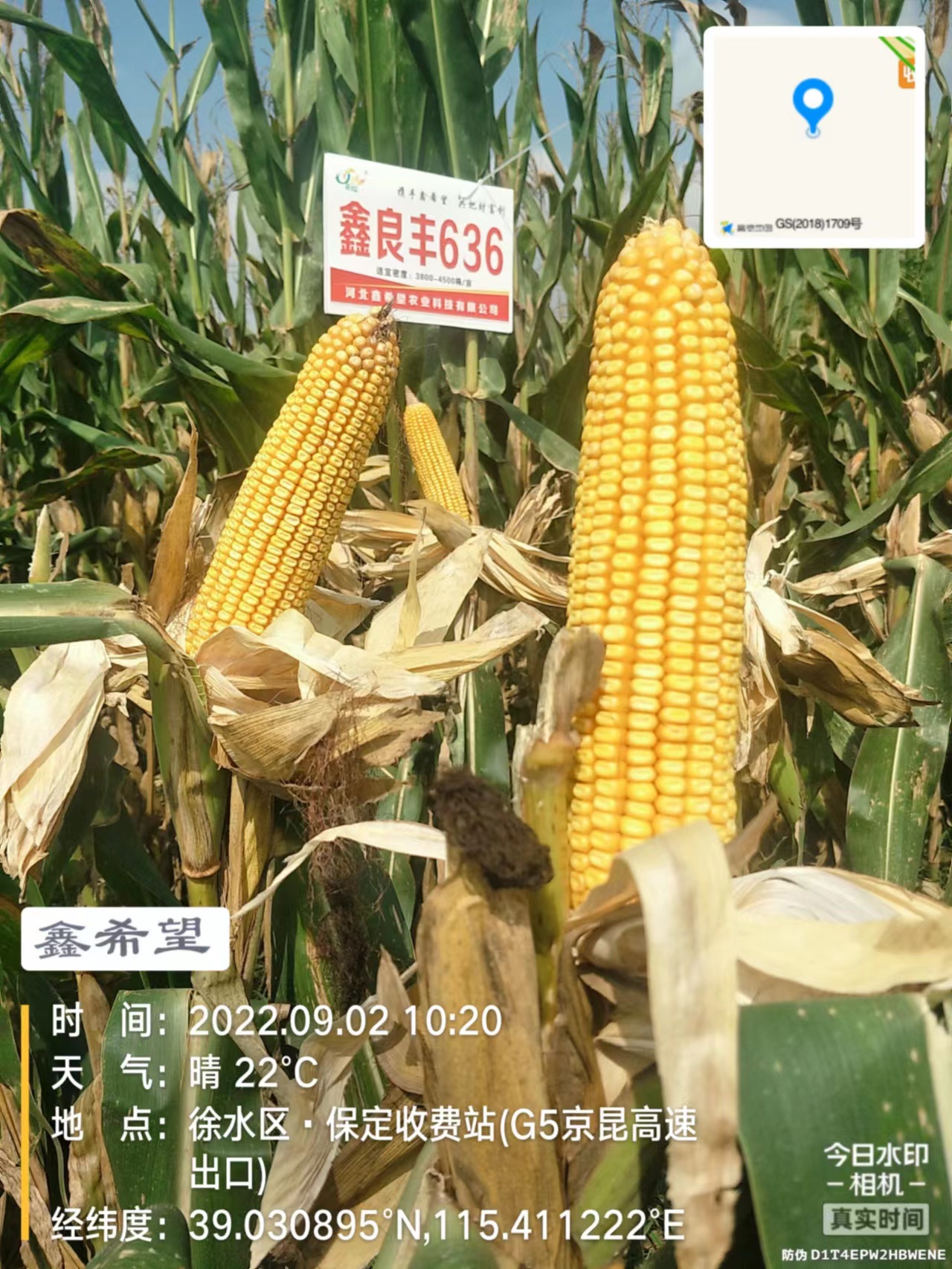 87bd16084e4708c1fe88f174e49c68