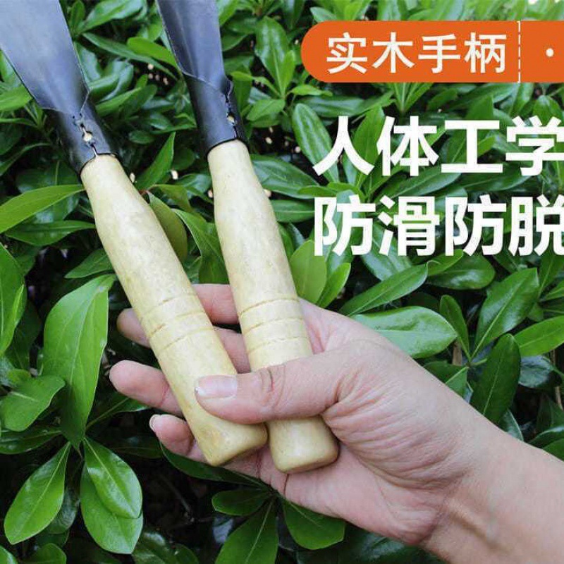 野菜掘り用の卸売小型シャベル、アマラント掘り用、ニンニク掘り用シャベル、野菜掘り用、園芸用花植え道具、除草、土掘り、草抜き|undefined