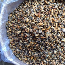 ���l  ����  �Oؐ  �a��؛Դ�㽭���rˮ�a��؛