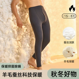 考拉绒羊毛蚕丝保暖裤男士秋冬加绒加厚羊毛护膝绒棉裤打底秋裤