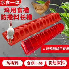 �u���Z��ʳ��ιʳ�����B�u��ι�ϲ��L����ˮ��һ�w���uʳ���uʳ��