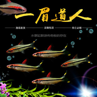 һü���˼tü�����^���Ꭷ��ˮ�~�^�p�~����Ⱥ���~С���~���]����