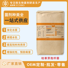 ˮ�a�ݲ�ѿ�ߗU�����������Bֳ΢�������ˮ�|��������ˮ��ϼ�