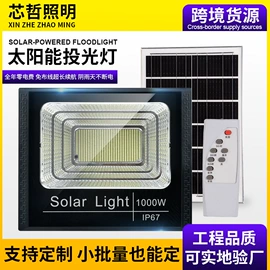 太阳能灯;投光灯;路灯