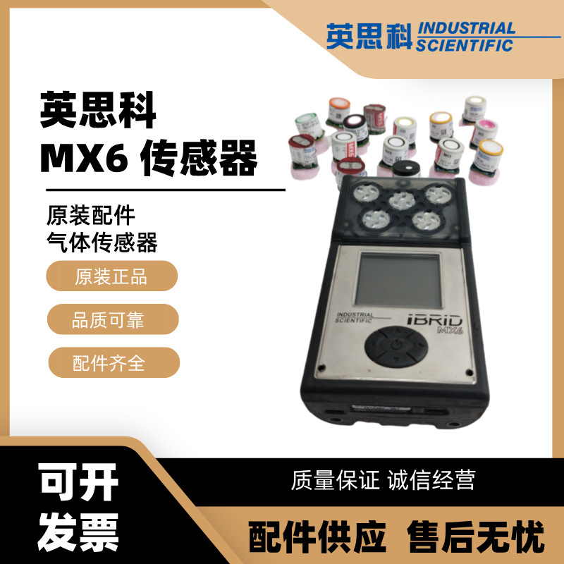 英思科MX6-00200211硫化氢气体检测仪 17124975-2硫化氢传感器
