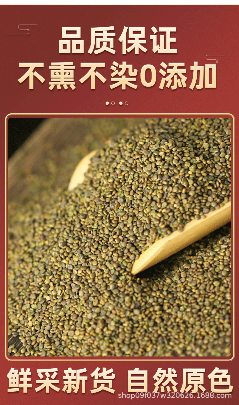 Sha Yuan Zi Astragalus Seed 500g Dried Herbal Tea Bulk Chinese Herb quality and texture
