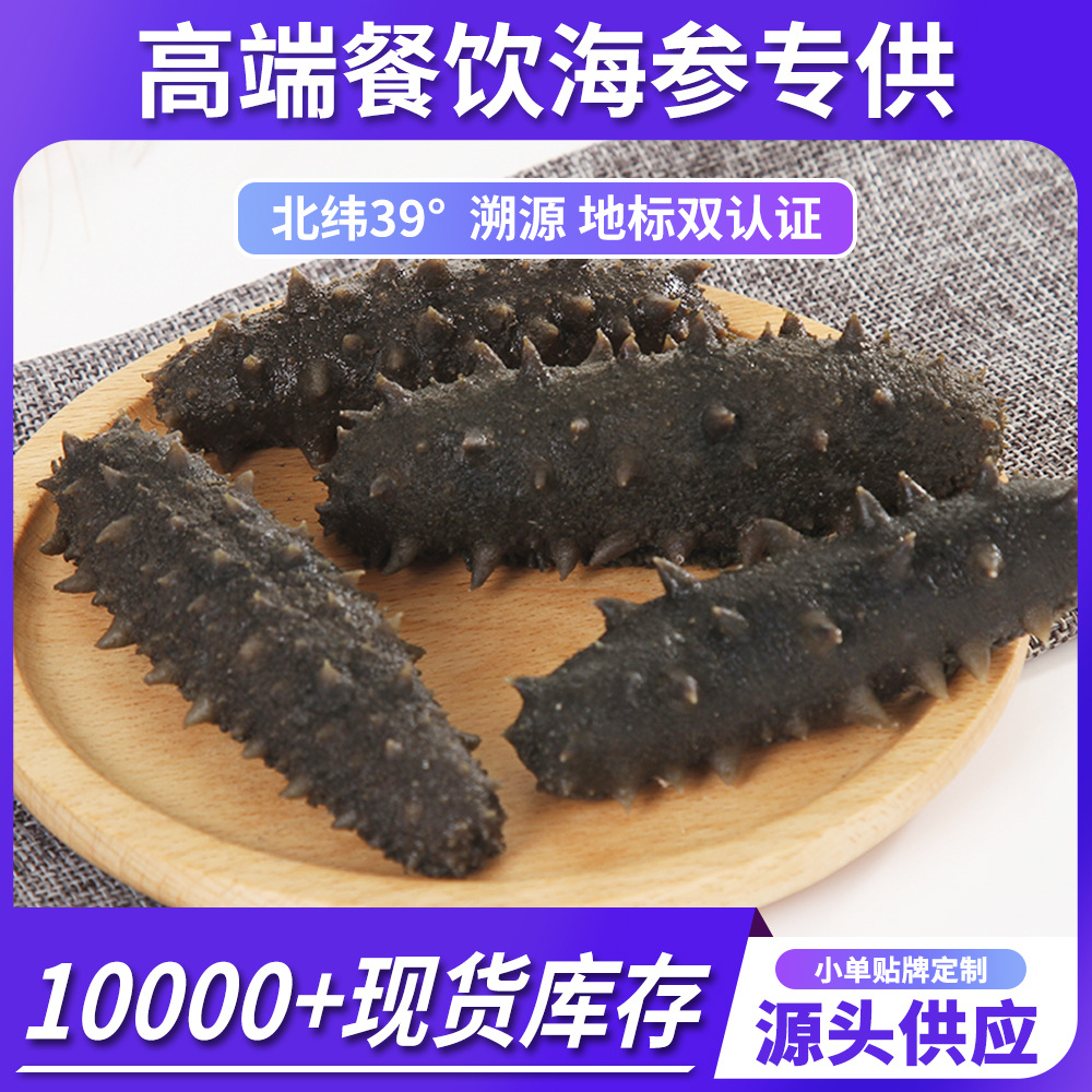大连底播大火半干海参盐渍海参批发辽参高端餐饮专供