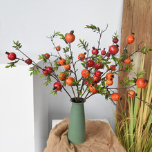 滨lؔҾʯb[͏dPYٻ֦tӹ