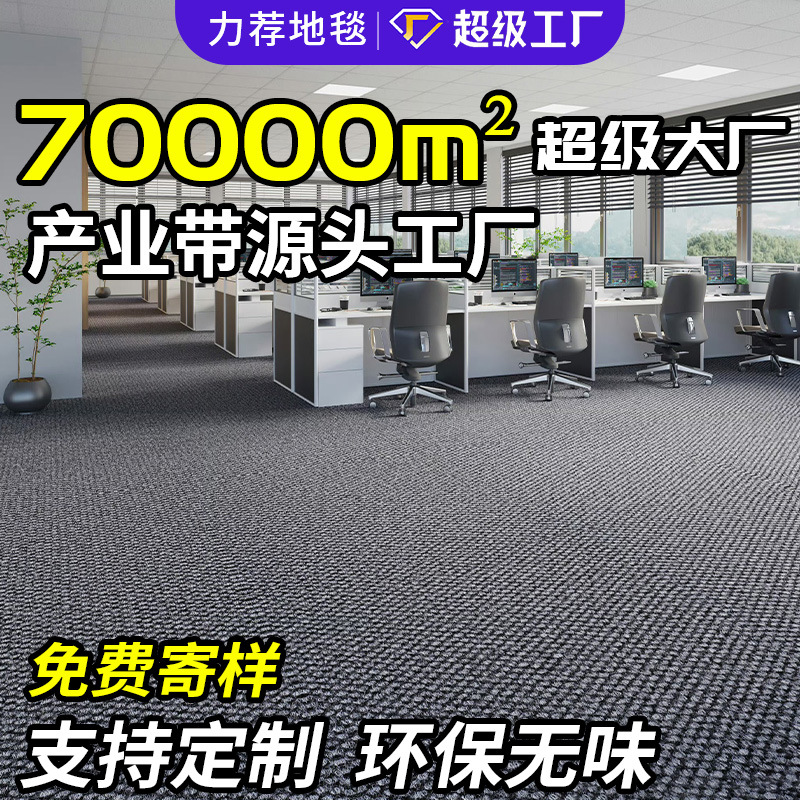 Thickened Large-Area Full-Cut Anti-Slip Carpet for Living Room, Bedroom, Office, Commercial Full-Cover Soundproof Carpet Mat